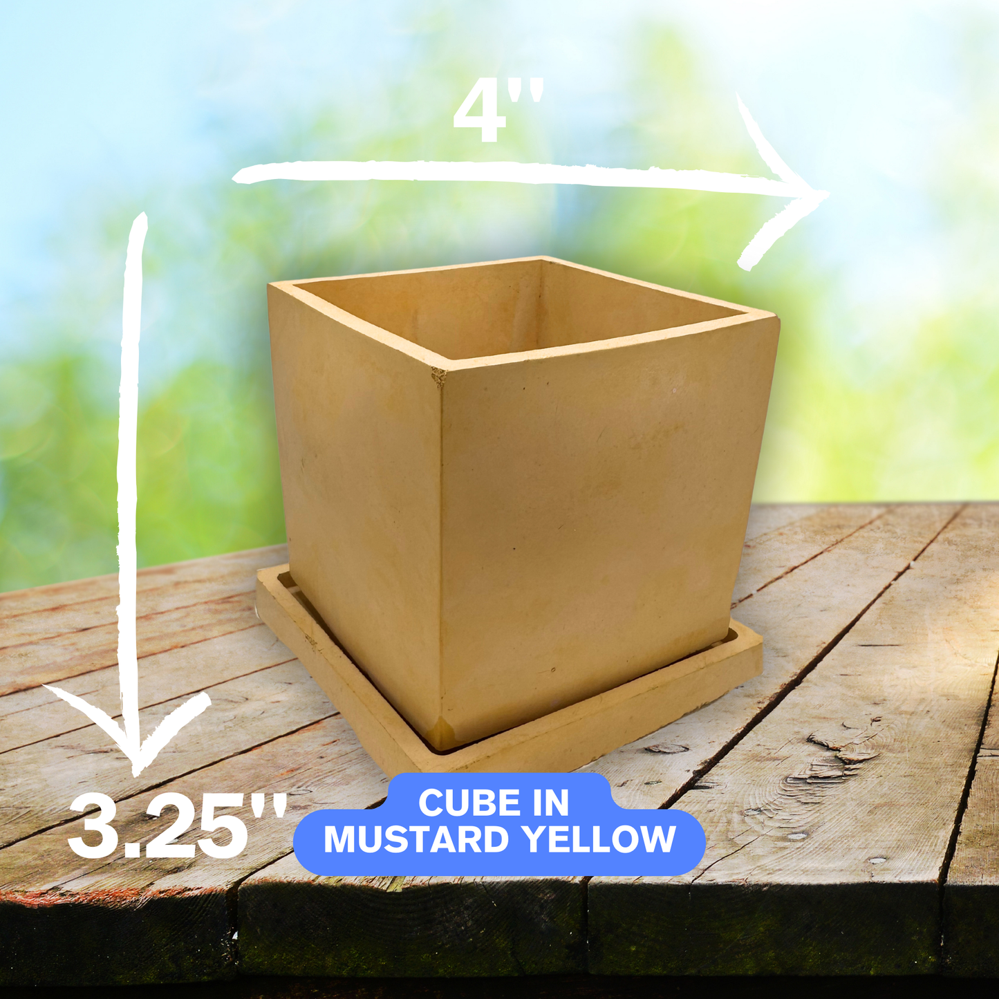 Solid Sensations Cube-Shaped Planter