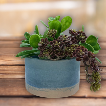 Duo-Toned Cylinder-Shaped Planter