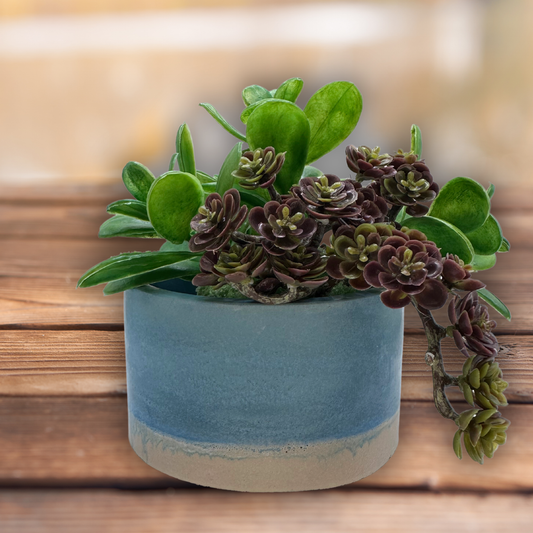 Duo-Toned Cube-Shaped Planter