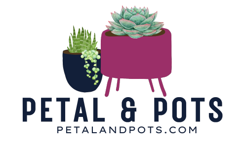 Petal & Pots